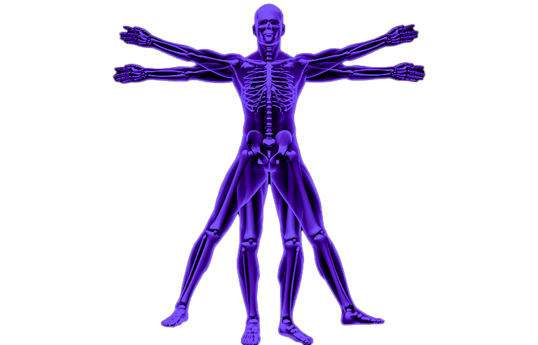 临床影像解决方案和肌肉骨骼